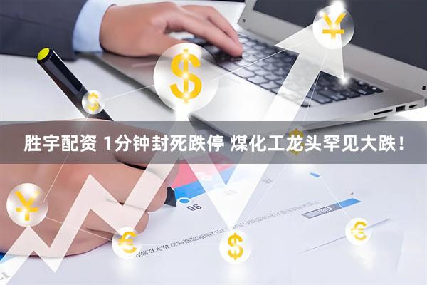 胜宇配资 1分钟封死跌停 煤化工龙头罕见大跌！
