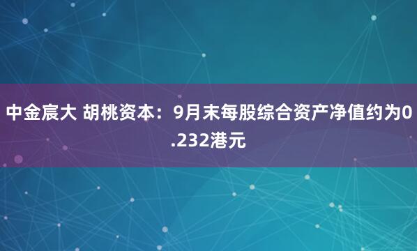 中金宸大 胡桃资本：9月末每股综合资产净值约为0.232港元