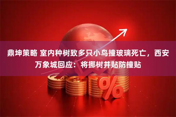 鼎坤策略 室内种树致多只小鸟撞玻璃死亡，西安万象城回应：将挪树并贴防撞贴