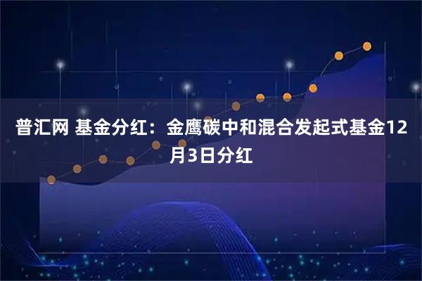 普汇网 基金分红：金鹰碳中和混合发起式基金12月3日分红
