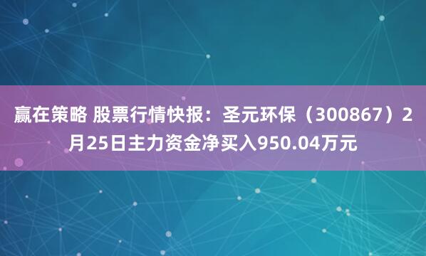赢在策略 股票行情快报：圣元环保（300867）2月25日主力资金净买入950.04万元